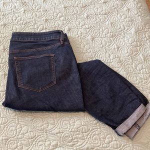 Loft Plus Skinny Jeans